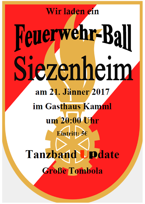 2017 FF Ballplakat bild