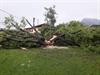Foto für E033,Baum umgestürzt,